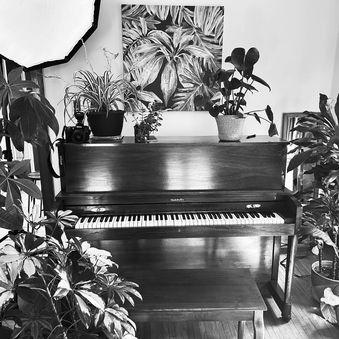 Black and white image of a piano